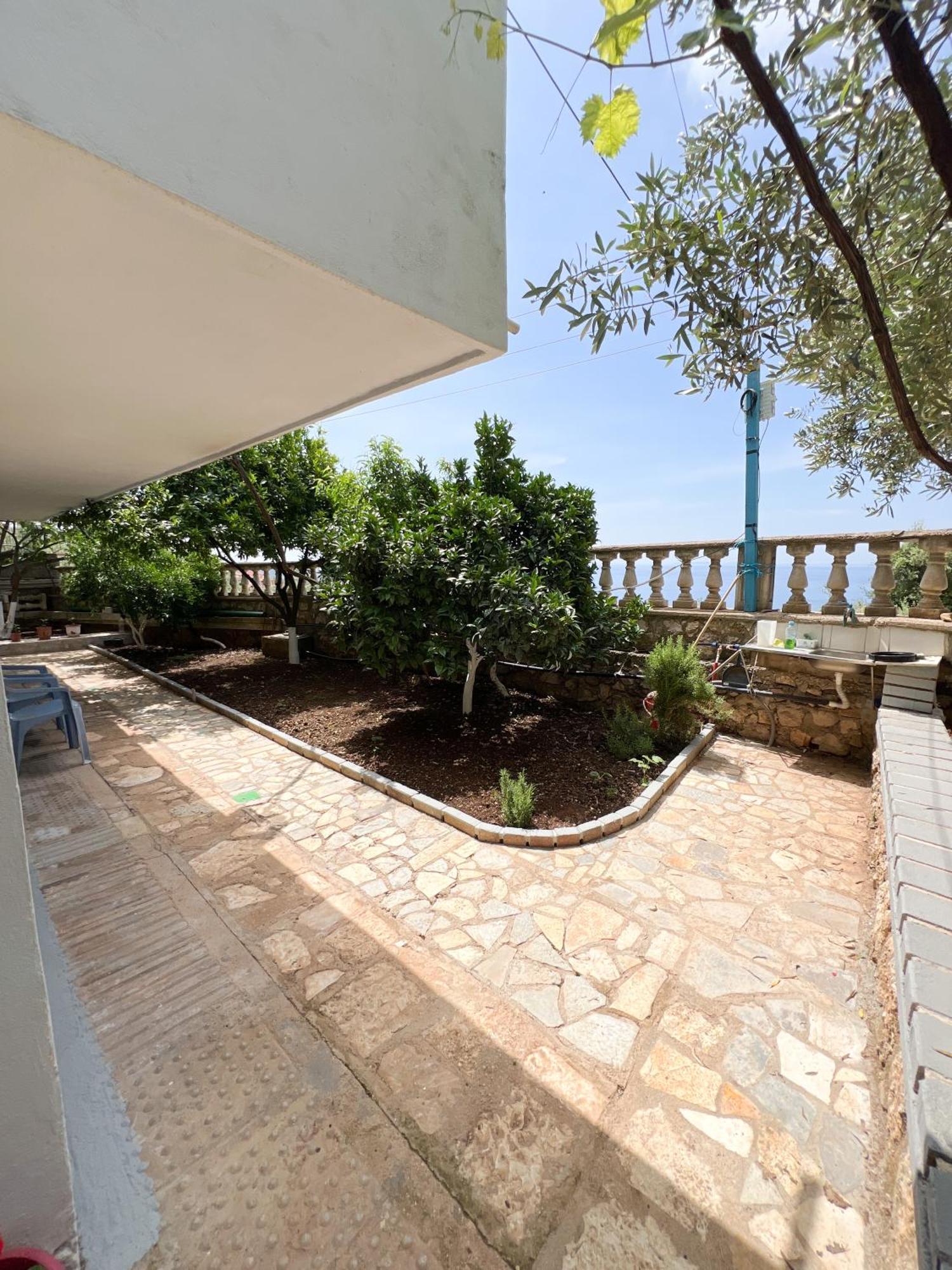 Petra Oliva Apartment Dhërmi Eksteriør billede